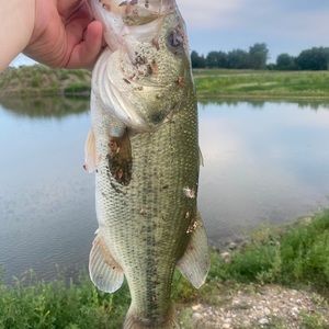 Meet your Posher, Spencer